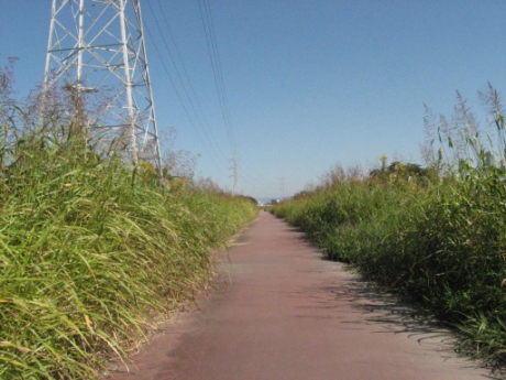 画像20